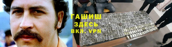 гидра Каменногорск