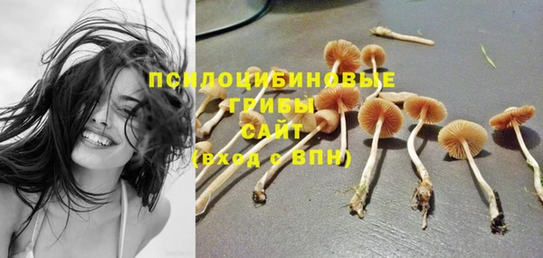 мескалин Алексин