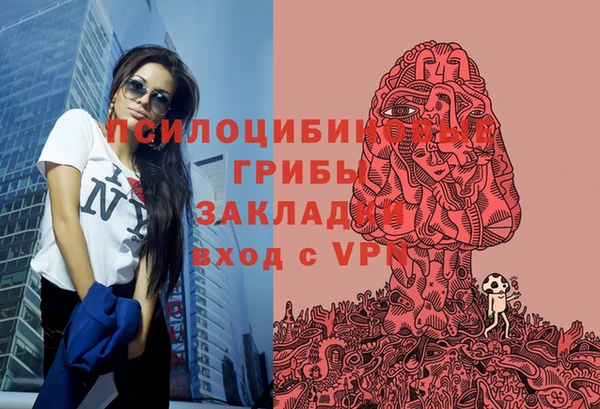 jwh Алзамай