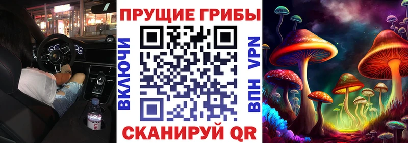 Галлюциногенные грибы Psilocybine cubensis  Пермь 